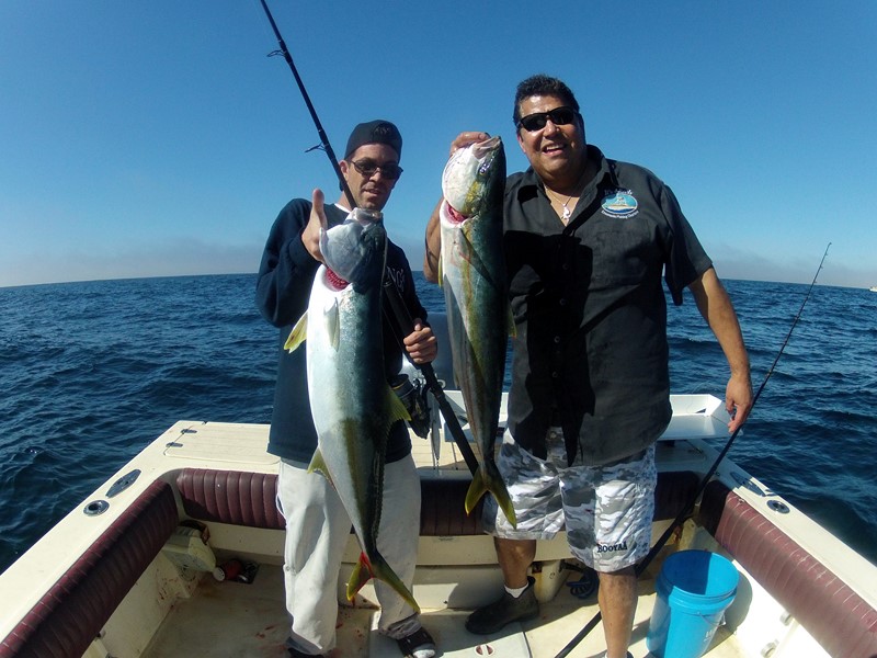 Ensenada 2-14 & 2-15-14-Yellows at Todos Santos Island