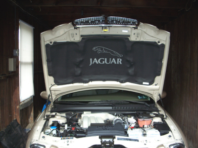 Jaguar x deals type bonnet