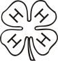 4Hclover.jpg (107626 bytes)