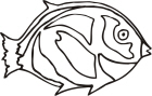trpfish.jpg (107643 bytes)