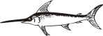 swordfish.jpg (48581 bytes)