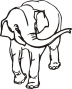elefant.jpg (110033 bytes)