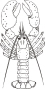 lobster.jpg (120674 bytes)