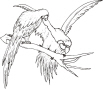 parrots.jpg (155558 bytes)