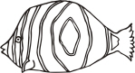 trpfish2.jpg (103476 bytes)