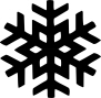 snow flake.jpg (73908 bytes)