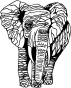 elefant2.jpg (238225 bytes)