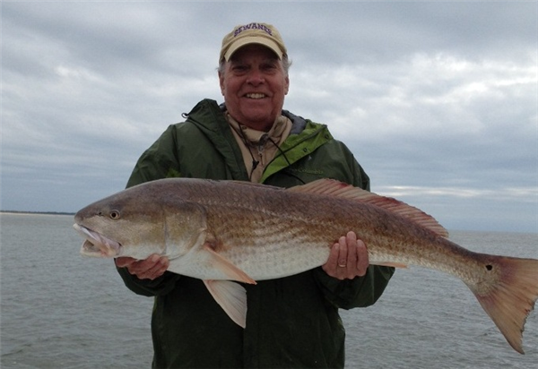 pensicola redfish