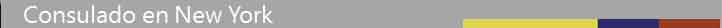 consul