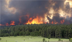 Black Forest fire, afternoon of June 11, 2013 Black Forest fire, afternoon of June 11, 2013
