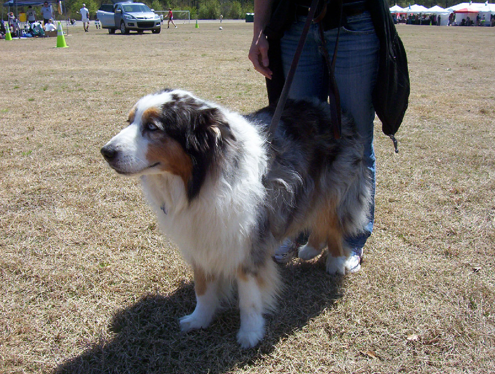 NjZDODg1RjkyQUVCQTEzMENEQUU6ZDNiNDlmZWU5MDU4NzVjMWE5YWJkMzQ3YmEwNDIyMmI=