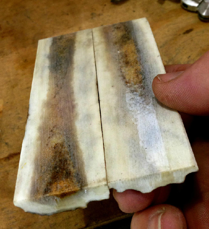 Sambar Stag Scales cut from a Single Roll 4.910" x 1.250" x .375