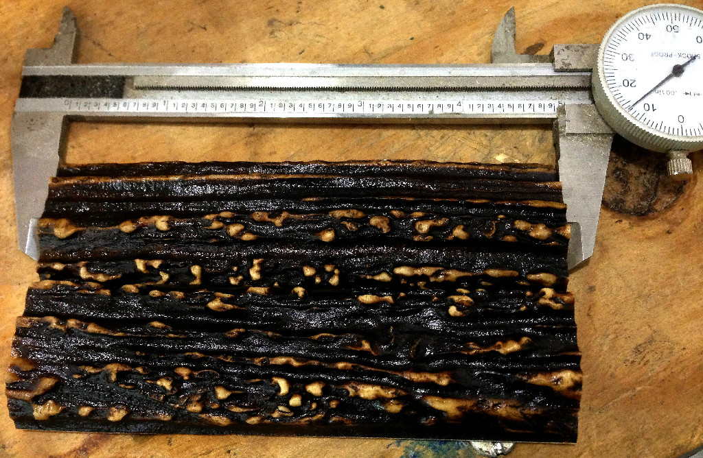 Sambar Stag Scales cut from a Single Roll 4.910" x 1.250" x .375