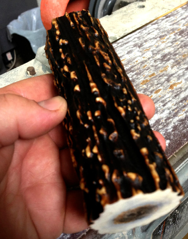 Sambar Stag Scales cut from a Single Roll 4.910" x 1.250" x .375